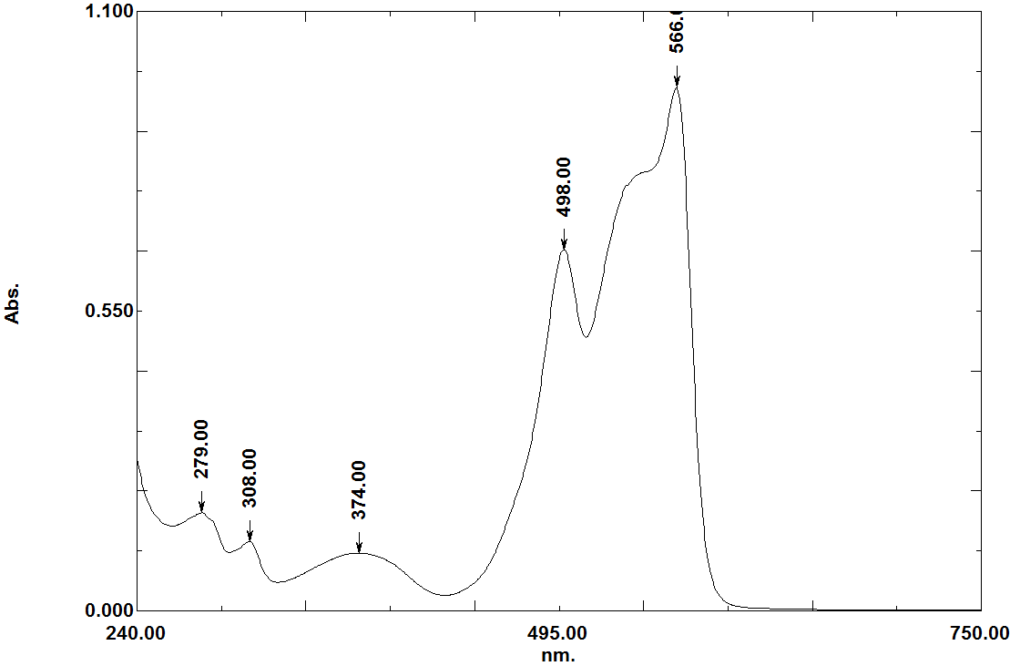 Phycoérythrine-R spectre absorbance
