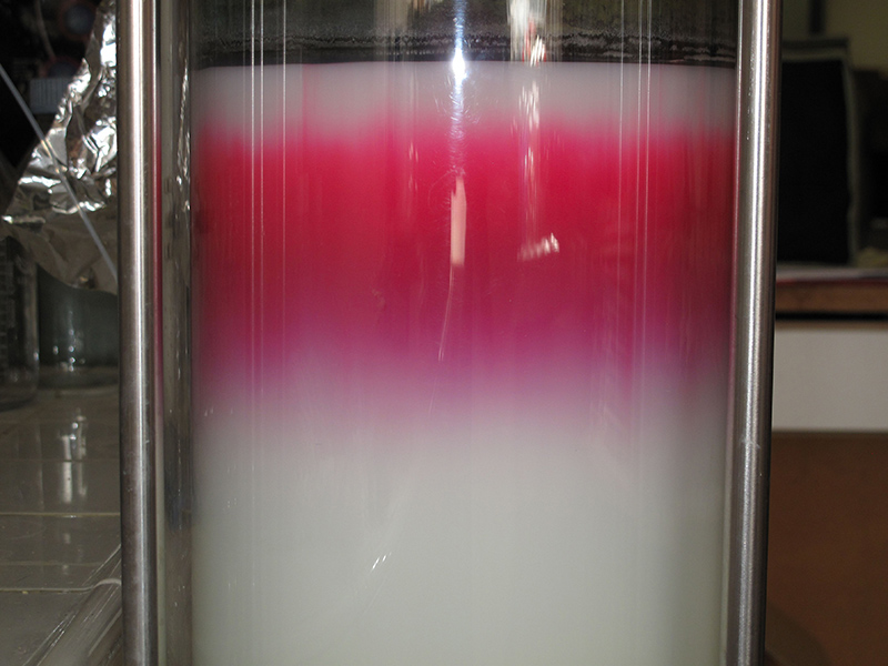 View of one of the stages of purification of fluorescent labels