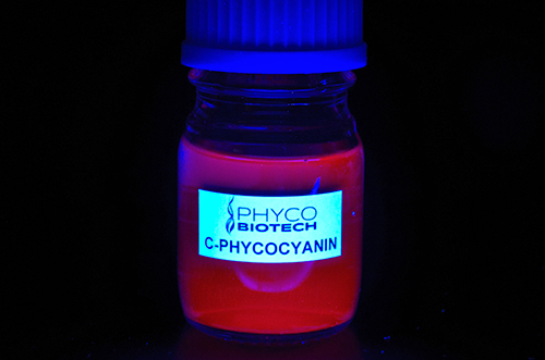 C-Phycocyanin Fluorescent vial