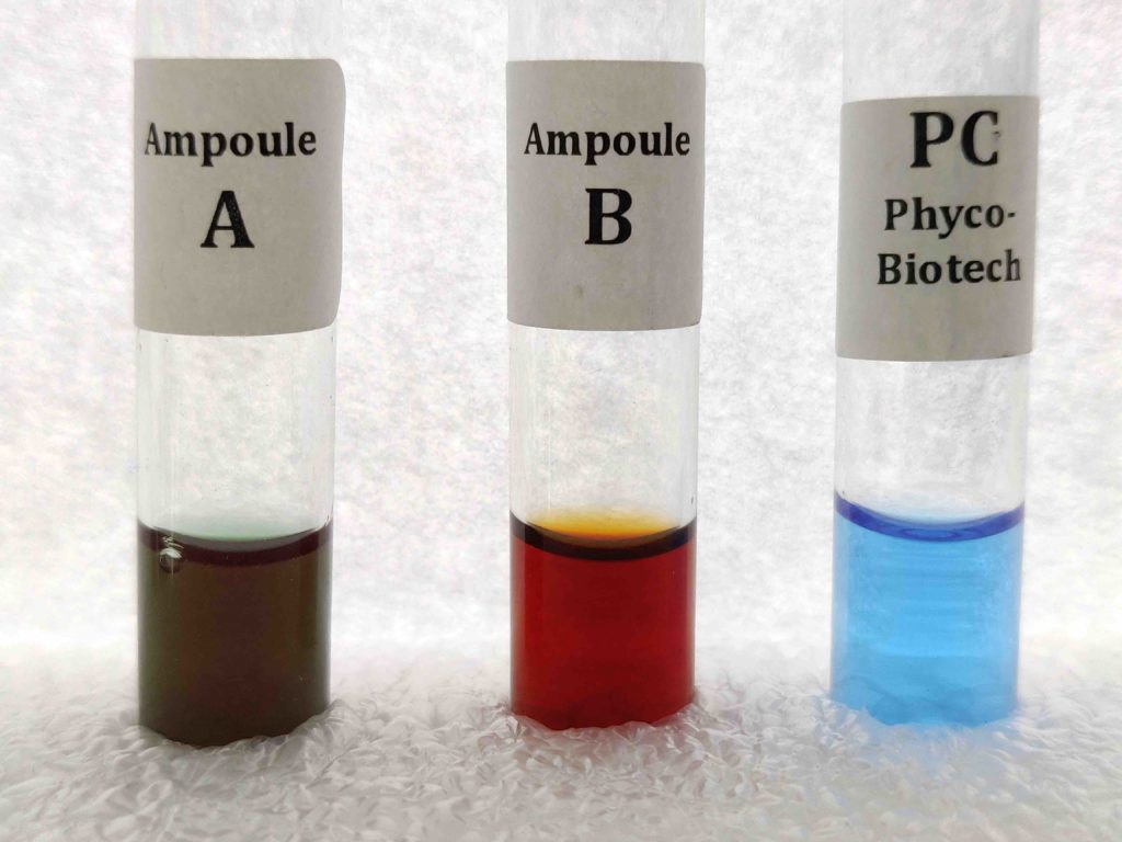 comparaison couleur phycocyanine ampoule